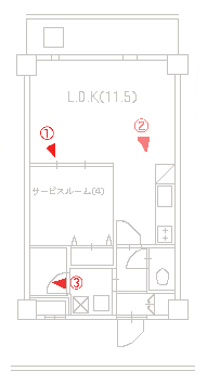 ������ЃG�[�V�[�J���p�j�[